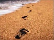 Huellas en la arena